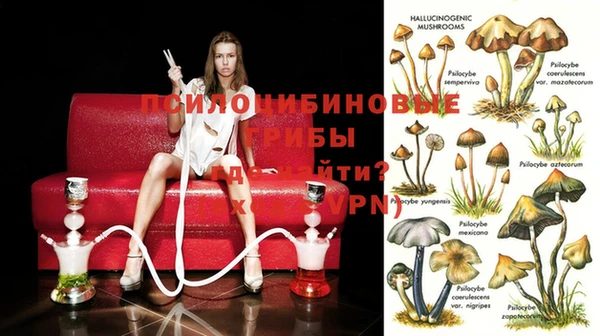 кокаин перу Белокуриха