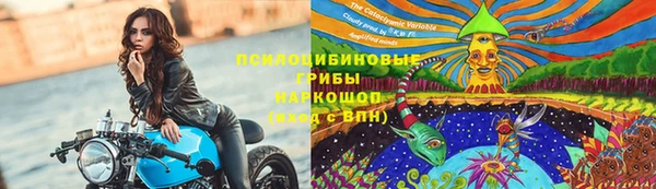 не бодяженный Беломорск